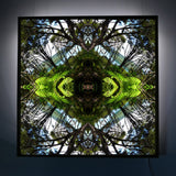 Sounds Native 1 - Lightbox