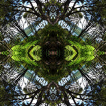 Sounds Native 1 - Lightbox