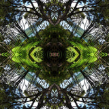 Sounds Native 1 - Lightbox