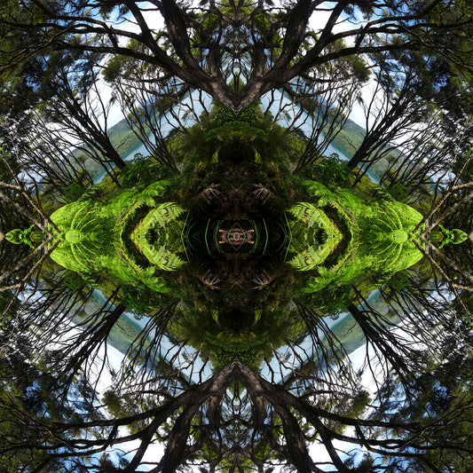 Sounds Native 1 - Canvas