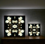 White Magnolia Light 1 - Lightbox