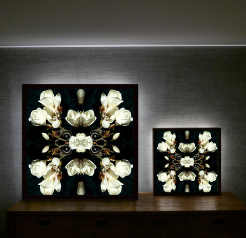 White Magnolia Light 1 - Lightbox