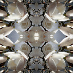 White Magnolia Light 2 - Lightbox