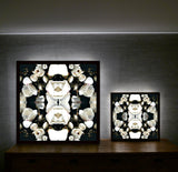 White Magnolia Light 3 - Lightbox