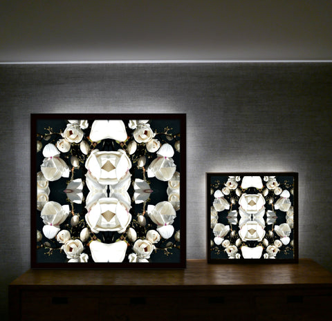 White Magnolia Light 3 - Lightbox