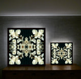 White Magnolia Light 6 - Lightbox