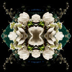 White Magnolia Crown 4 - Lightbox