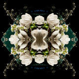 White Magnolia Crown 4 - Lightbox