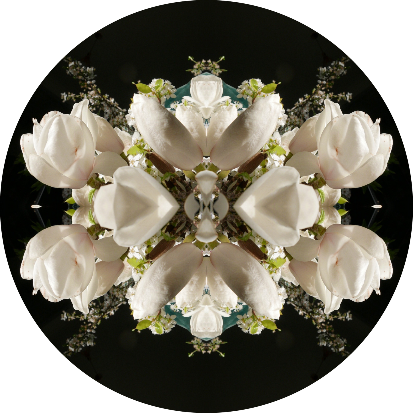 Magnolia Crown 3 - Small Mandala Print