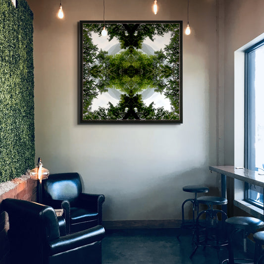 Native Lace - Lightbox