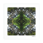 Sounds Native 2 - Giclée Fine Art Posters
