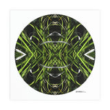 Ruatahi Void - Giclée Fine Art Posters
