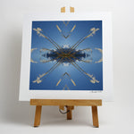 Aoraki Toi Toi 2 - Small Mandala Print