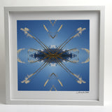 Aoraki Toi Toi 2 - Small Mandala Print