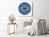 Aoraki Toi Toi 1 - Giclée Fine Art Posters