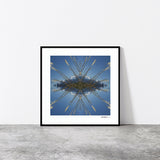 Aoraki Toi Toi 3 - Giclée Fine Art Posters
