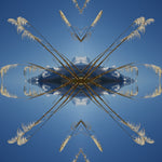Aoraki Toi Toi 2 - Small Mandala Print