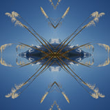 Aoraki Toi Toi 2 - Small Mandala Print