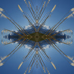Aoraki Toi Toi 3 - Small Mandala Print