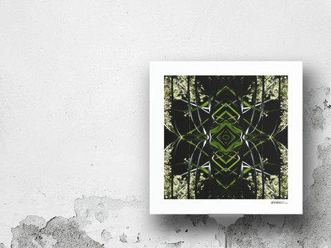 Ruatahi Portal 3 - Giclée Fine Art Posters