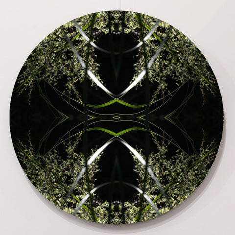Dark Ruatahi Portal 6 - Round