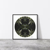 Dark Ruatahi Portal Round 1 - Fine Art Posters