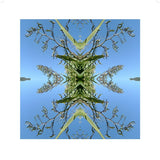 Harakeke  2, Unframed