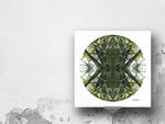 Jade Portal 1 - Giclée Fine Art Posters
