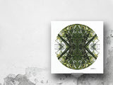 Jade Portal 1 - Giclée Fine Art Posters