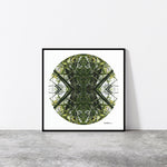 Jade Portal 1 - Giclée Fine Art Posters
