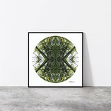 Jade Portal 1 - Giclée Fine Art Posters