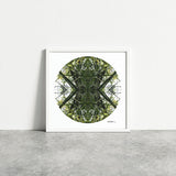 Jade Portal 1 - Giclée Fine Art Posters