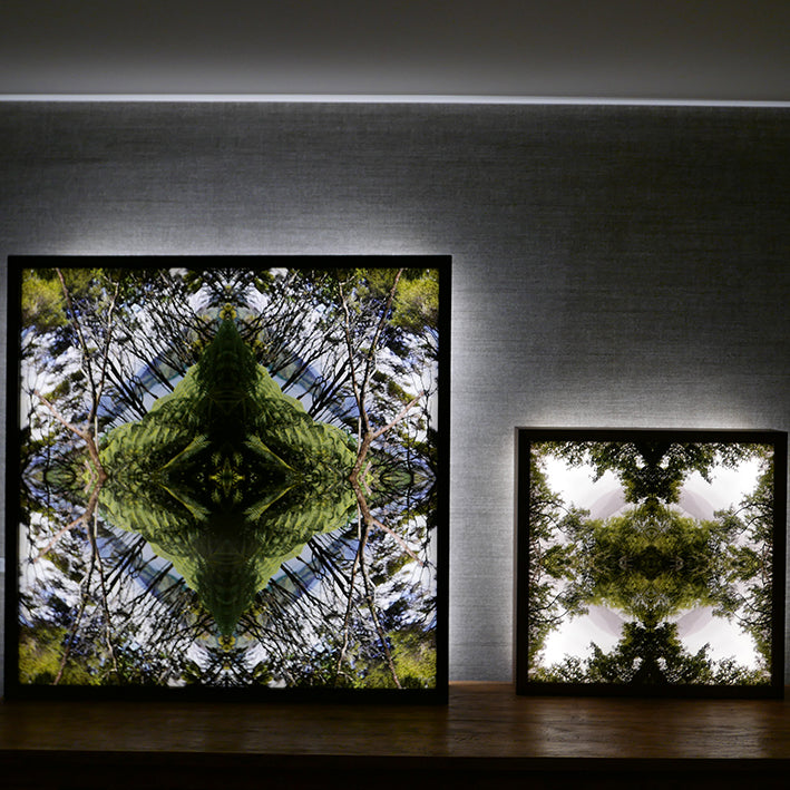 Sounds Native 2 - Lightbox