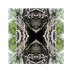 Mother Earth Unframed
