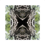 Mother Earth Unframed