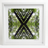 Native Canopy - Small Mandala Print