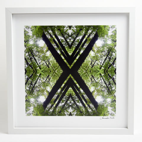 Native Canopy - Small Mandala Print