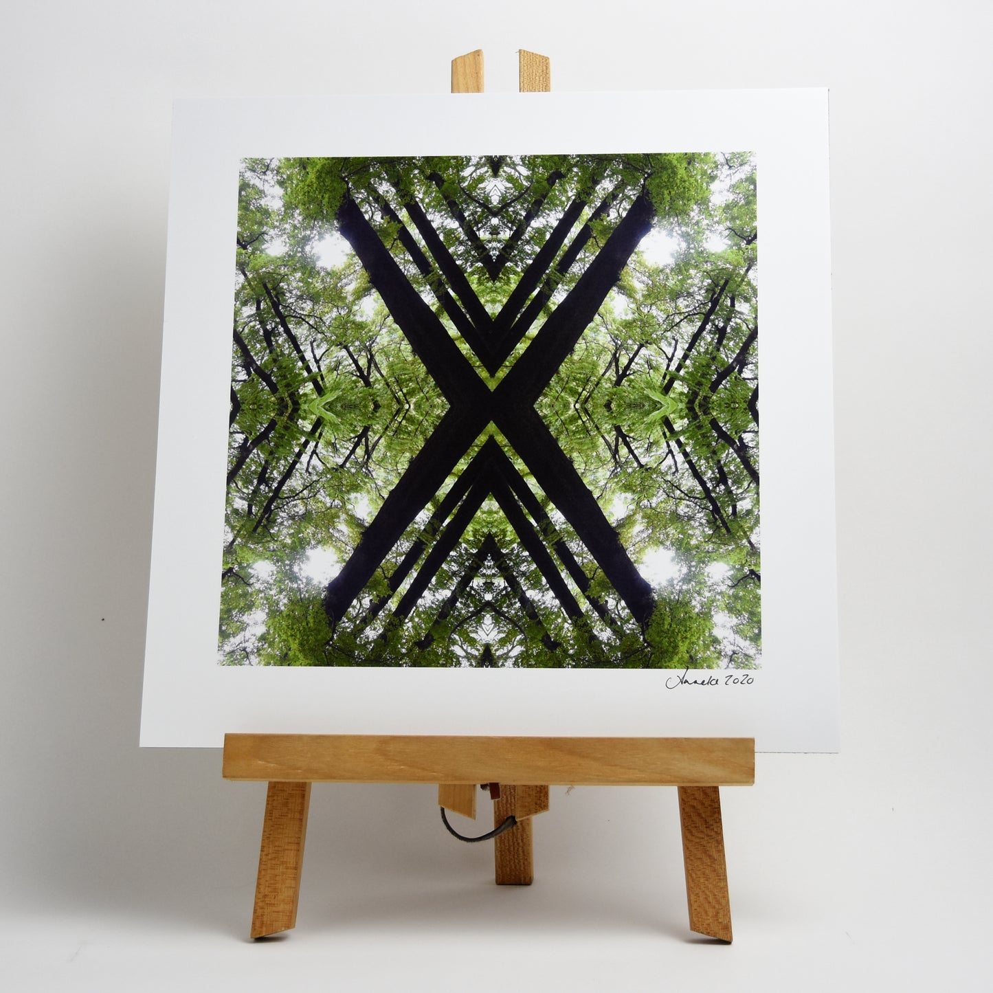 Native Canopy - Small Mandala Print