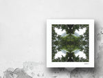 Native Lace - Giclée Fine Art Posters