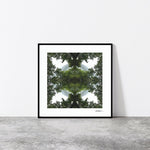 Native Lace - Giclée Fine Art Posters