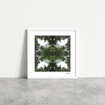 Native Lace - Giclée Fine Art Posters