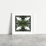Native Lace - Giclée Fine Art Posters