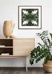 Native Lace - Giclée Fine Art Posters