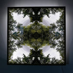 Native Lace - Lightbox