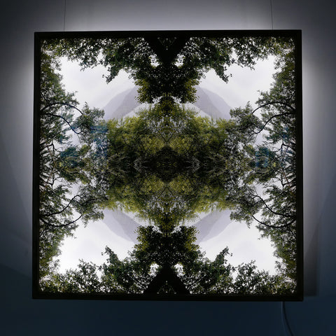 Native Lace - Lightbox