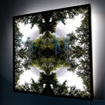 Native Lace - Lightbox