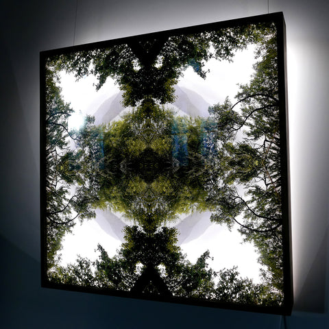 Native Lace - Lightbox