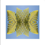 Punga, Unframed