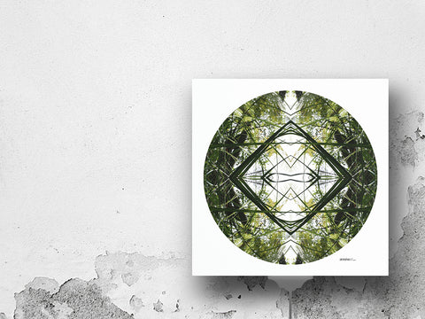 Ruatahi Diamond - Giclée Fine Art Posters