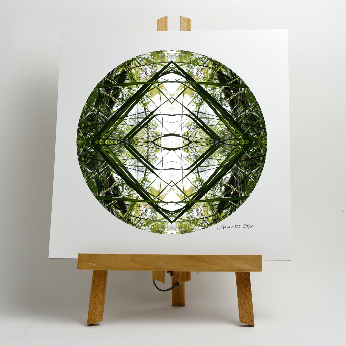 Ruatahi Diamond 1 - Small Mandala Print